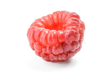 One isolated raspberry on white background