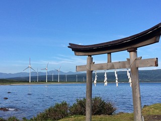 鳥居と風車
