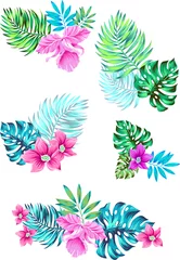 Fotobehang Tropische Bladeren set of vector flowers. in tropical bouquets  © rosapompelmo