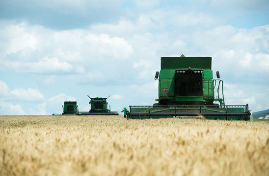 Three modern combine harvester working on a wheat crop