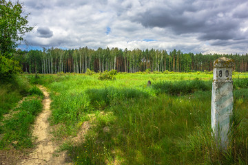 quarterly column in the woods