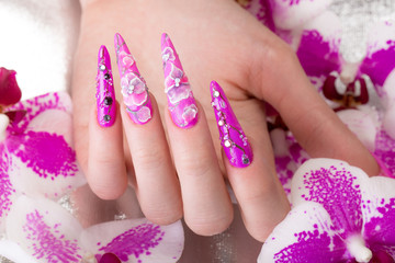 Long beautiful manicure with flowers on female fingers. Nails design. Close-up