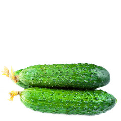 ..Fresh Cucumber isolated on white background.