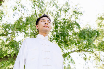 Handsome man practicing thai chi