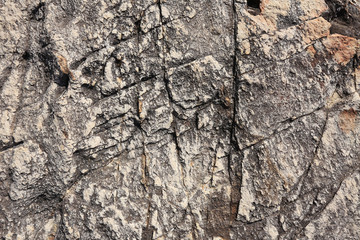 rocks