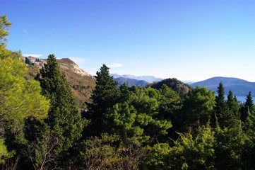 Mountain landscape with green forest