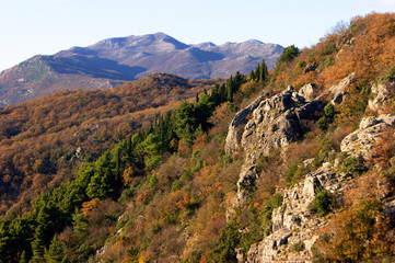 The wooded slopes of the mountains in the autumn