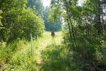 собирать грибы