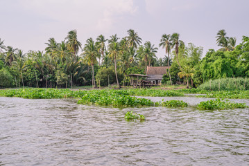 Thai traditional house, village riverfront in Bangkok Thailand.