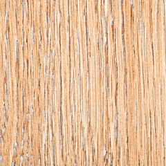 Wooden Oak Texture