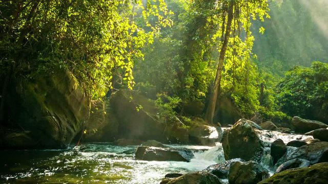 Video 1920x1080 - Creek flowing between rocks in the rainforest