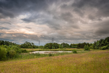 Naklejka premium Wildflower Meadow, in East Cramlington Nature Reserve, Northumberland which provides free and easy access to nature
