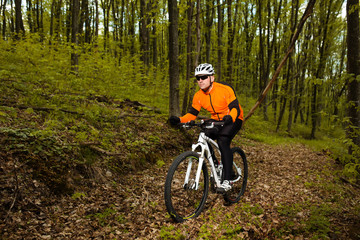 Cyclist Riding the Bike on a Trail in Summer Forest