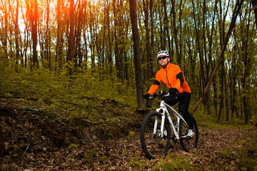 Fototapeta premium Cyclist Riding the Bike on a Trail in Summer Forest