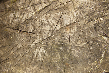 A full page close up of wooden chip board texture