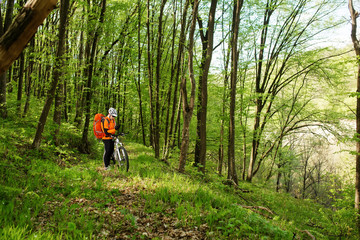 Obraz premium Cyclist Riding the Bike on a Trail in Summer Forest