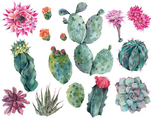 Set of watercolor fruit on a white background © depiano