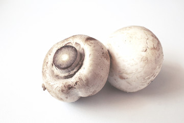 Champignon mushroom isolated