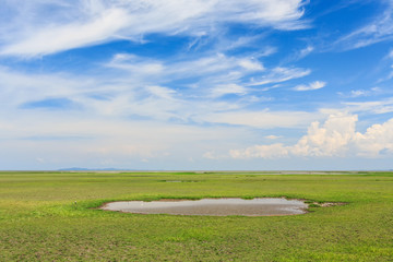 Blue skies, white clouds, green grass, & open range land dominate in Thailand