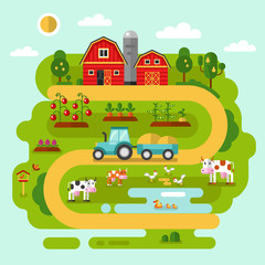 Flat vector rural landscape illustration with farm building, barn, garden, tractor, road, beds of carrot, tomatoes, pumpkin, cow, duck, chicken. Farming, agricultural, organic products concept.