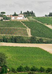 rural landscape in Tuscany in Italy