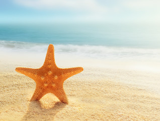 Fototapeta na wymiar Starfish on a summer beach on a background of ocean