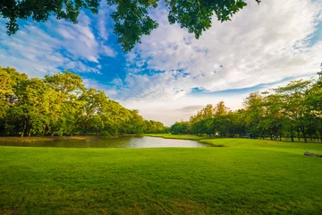 Foto op Plexiglas Green grass meadow field on public central park with tree cloud © themorningglory