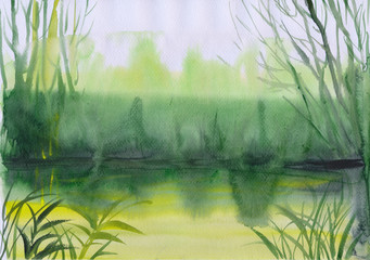Watercolor painting of green misty pond surrounded by weed, grass and trees. Wet style.
