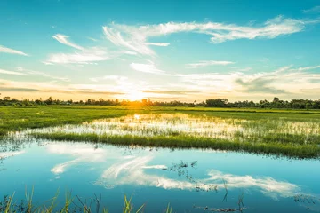 Foto op Plexiglas Breathtaking sunset at the wetland with blue sky © peangdao