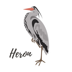 Isolated gray heron bird on a white background, vector illustration, hand drawn