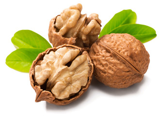 cracking walnuts on white