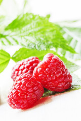Raspberries with leaves on the white wooden background, non-isol