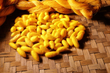 silk cocoons and raw silk threads in basket