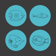 icon set over circles. Sea life design. Vector graphic