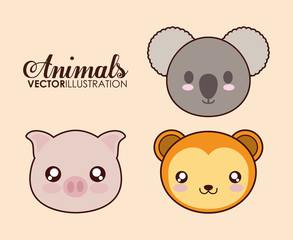Obraz na płótnie Canvas Cute animal design represented by kawaii pig, koala and monkey icon. Colorfull and flat illustration. 