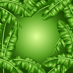 Naklejka premium Frame with banana leaves. Image of decorative tropical foliage