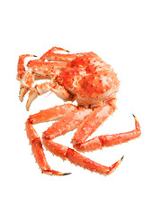 Red king crab isolated on white background