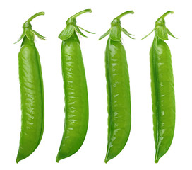 Pod of green peas isolated