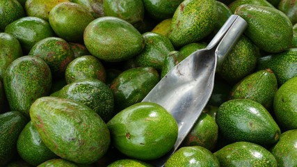 Avocado. Stack of delicious green fresh vegetables with metal scoop lying on them. Photographed avocados from above.