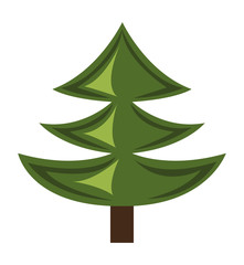 pine tree isolated icon design, vector illustration  graphic 