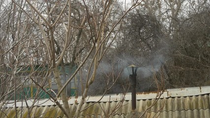 Smoke coming out of old black chimney in forest. The roof of corrugated gray slate. House is surrounded by long thin twigs. Lonely chimney in autumn forest and gray sky. Moss on roof. - Powered by Adobe