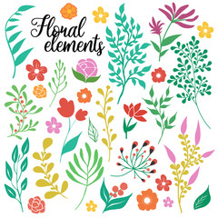 Hand Drawn Floral Elements Set