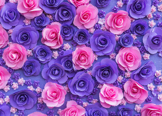 colorful flower petal closeup