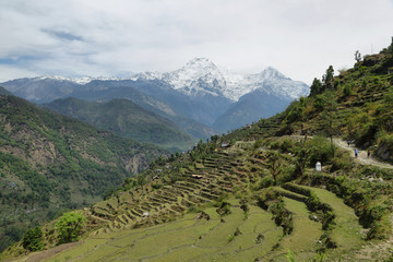 Fototapeta na wymiar Fields and wooden houses in Nepal