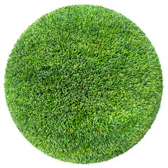 grass ball 3D illustration © andreusK