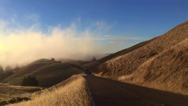 Rolling fog over Mount Tamalpais ridge