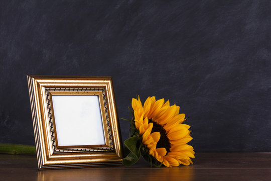 Picture frame and sunflower against a dirty blackboard backgroun