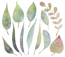 Set of watercolor fantasy leaves