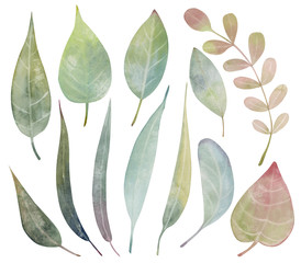 Obraz premium Set of watercolor fantasy leaves