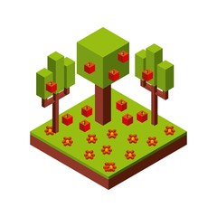 tree and apple icon. Isometric design. Vector graphic